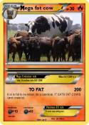 ega fat cow