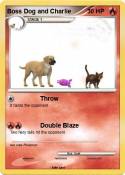 Boss Dog and
