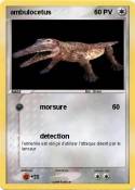 ambulocetus