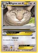 Sigma cat #1