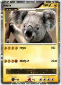 koala 0