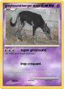 greyhound-berger