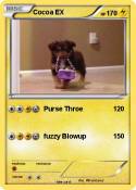 Cocoa EX