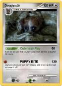Doggy