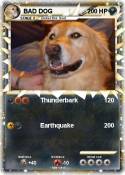 BAD DOG