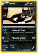 Batcat