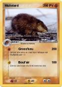 Mullotard