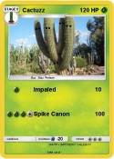 Cactuzz