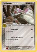 Cat bunny!