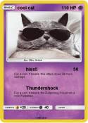 cool cat