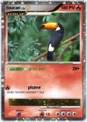toucan