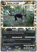 Sacha lvl.500