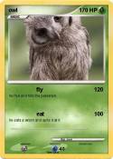 owl