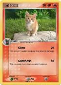 cat ????