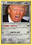 trumply awsome
