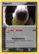 Puppy EX