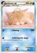 princes cat