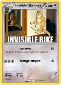 invisible bike
