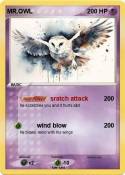 MR.OWL
