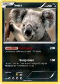 koala