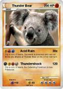 Thunder Bear