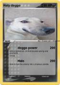 Holy doggo