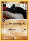 cat cat