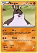 Chungus