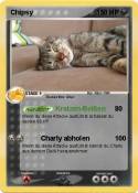 Chipsy