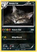 Sleepy Cat