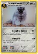 Colonel Meow