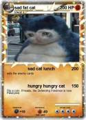 sad fat cat