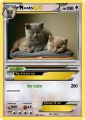 cats