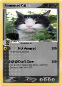 Anamused Cat