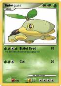 Turtwig