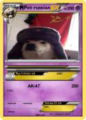 Pet russian