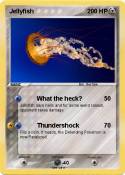 Jellyfish