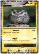 Owl