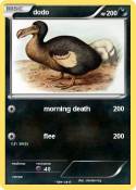 dodo