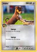 puppy