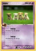 puppy