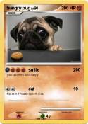 hungry pug