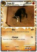 Doge EX