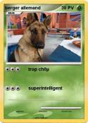 berger allemand