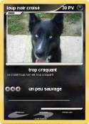 loup noir crois