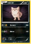 Cute cat