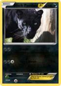 Black Panther