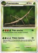 Phasmatodea