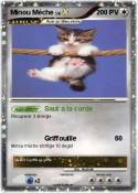 Minou Mèche