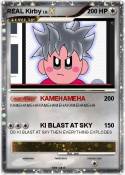 REAL Kirby